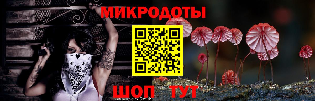 Богданович  Галлюциногенные грибы Cubensis  Вход с VPN 